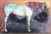 Horse Color:Painted White Spotted Chocolate Palomino Ice Roan Dun