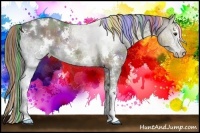 Horse Color:Painted Nacre White Spotted Liver Chestnut Ice Sabino
