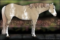 Horse Color:White Spotted Liver Red Dun Splash 