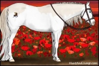 Horse Color:Perlino Roan Splash 