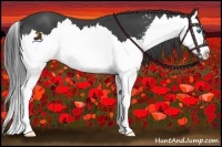 Horse Color:Smoky Black Sabino Splash 