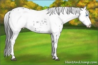Horse Color:Black Frame 