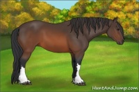 Horse Color:Brown 