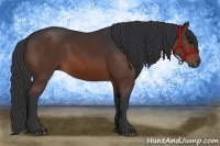 Horse Color:Brown 