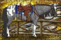 Horse Color:Blue Roan Tobiano Blanket 