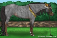 Horse Color:Liver Red Roan 