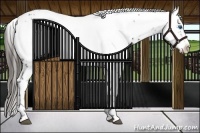 Horse Color:Liver Chestnut Frame 