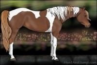 Horse Color:Chestnut Tobiano