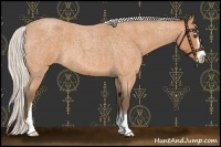 Horse Color:Silver Bay Roan Sabino 