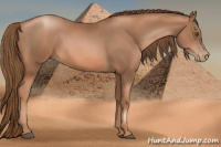 Horse Color:Liver Chestnut Pearl Rabicano 