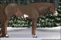 Horse Color:Liver Chestnut Frame 