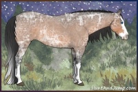 Horse Color:Buckskin Ice Roan Splash