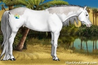 Horse Color:Bay Roan Dun Splash Brindle 