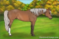 Horse Color:Silver Brown 