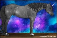 Horse Color:Blue Roan 