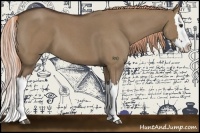 Horse Color:Liver Red Dun Roan Splash