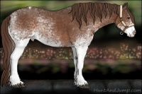 Horse Color:White Spotted Liver Chestnut Tobiano 