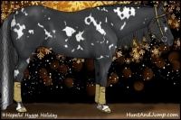 Horse Color:White Spotted Black
