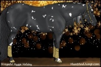 Horse Color:White Spotted Black 