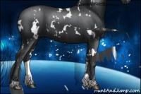Horse Color:White Spotted Black