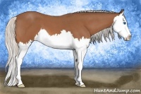 Horse Color:Silver Bay Roan Splash 