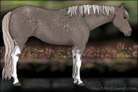 Horse Color:Silver Black Tobiano