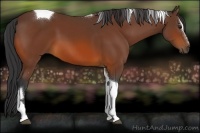 Horse Color:Bay Sabino Tobiano 