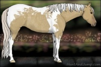Horse Color:Silver Grullo Tobiano Rabicano