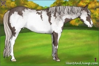 Horse Color:White Spotted Silver Black Frame