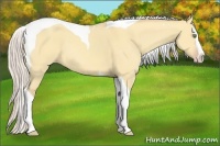 Horse Color:Silver Amber Champagne Dun Splash Tobiano