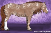 Horse Color:Chestnut Ice 