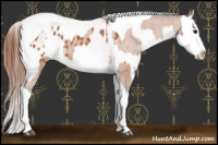 Horse Color:Bay Splash Tobiano Blanket  and Gray Bay Splash Tobiano Blanket 