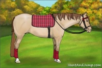 Horse Color:Bay Pearl Dun