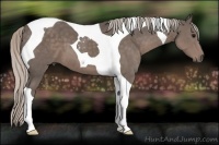 Horse Color:Silver Black Tobiano