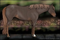 Horse Color:Liver Red Roan 