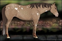 Horse Color:White Spotted Classic Champagne Sabino 