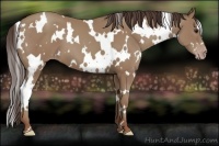 Horse Color:White Spotted Classic Champagne 