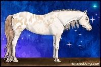 Horse Color:Classic Champagne Pearl Appaloosa 