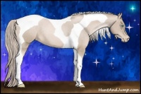 Horse Color:Chocolate Palomino Pearl Tobiano Appaloosa
