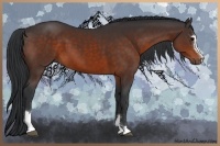 Horse Color:Brown Sabino 