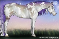 Horse Color:Watercolor White Spotted Bay Onyx Sabino Splash 