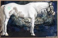 Horse Color:Chocolate Palomino Ice Sabino Tobiano Rabicano