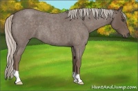 Horse Color:Silver Blue Roan 