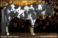 Horse Color:White Spotted Black 