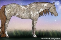 Horse Color:White Spotted Liver Chestnut Ice Pearl Sabino 