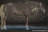 Horse Color:Liver Chestnut Mushroom Sabino Varnish Rabicano 
