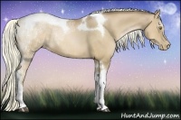 Horse Color:Liver Chestnut Ice Pearl Sabino Tobiano Rabicano 