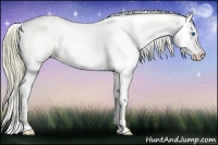 Horse Color:White Spotted Liver Chestnut Ice Pearl Splash Rabicano 