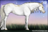 Horse Color:White Spotted Liver Chestnut Pearl Splash Rabicano 