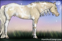 Horse Color:White Spotted Liver Red Dun Ice Pearl Tobiano Rabicano